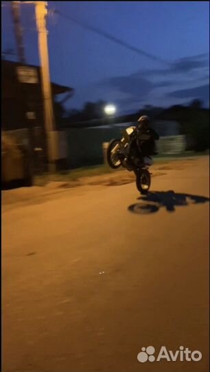 Racer200GY-C2 Panther