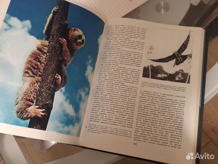 Энциклопедия СССР