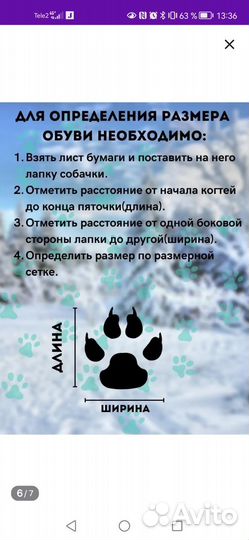 Обувь для собак мелких и средних пород на липучке