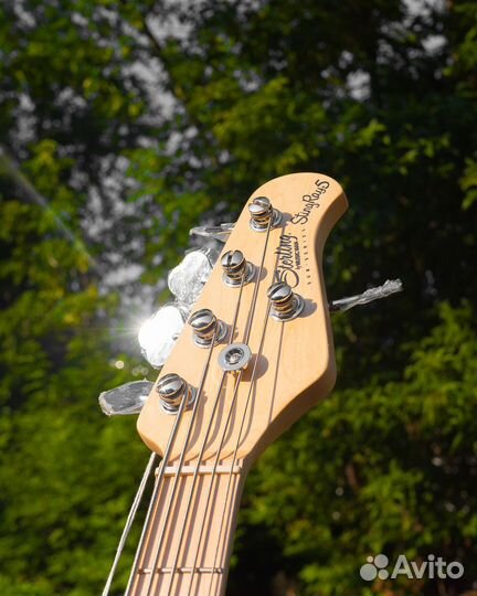 Sterling RAY5-vsbs-M1 StingRay5 Бас гитара, 5 стр