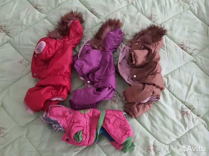 Одежда для маленьких собак чихуа