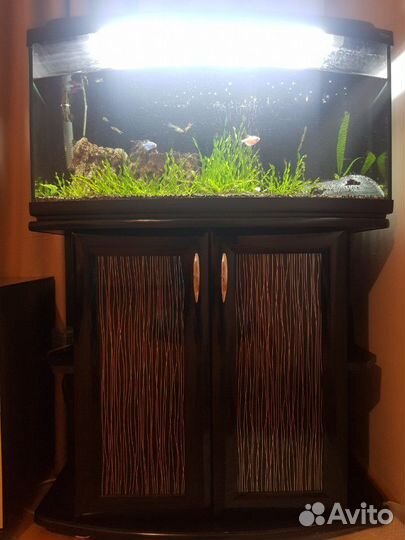 Аквариум
