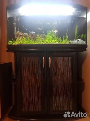 Аквариум