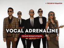 Кавер группа «Vocal Adrenaline». Живая музыка