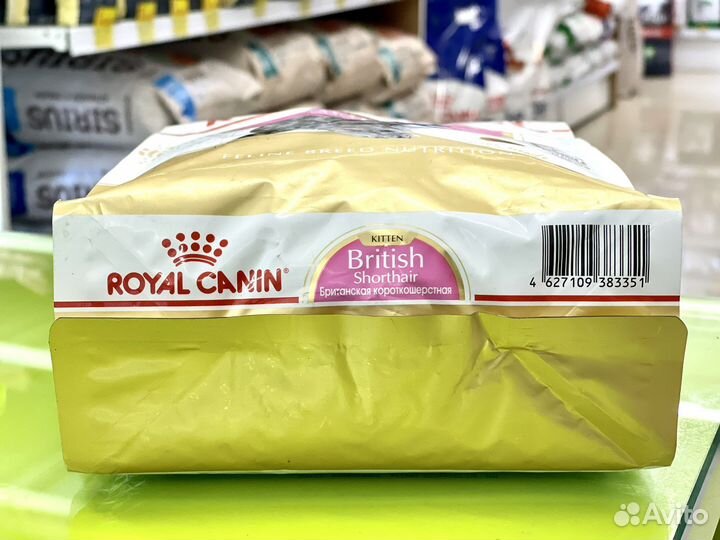 Royal Canin Kitten British Shorthair корм д/к 2 кг