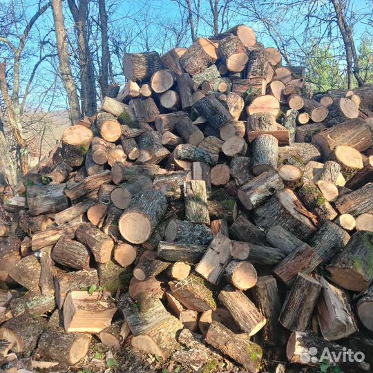 Дрова твёрдых пород