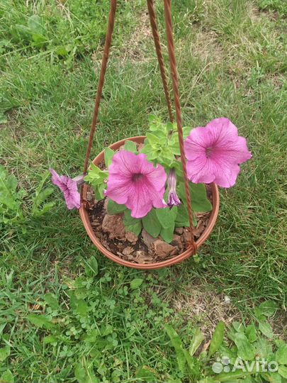 Кашпо подвесное для цветов