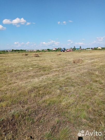 Сено луговое в тюках