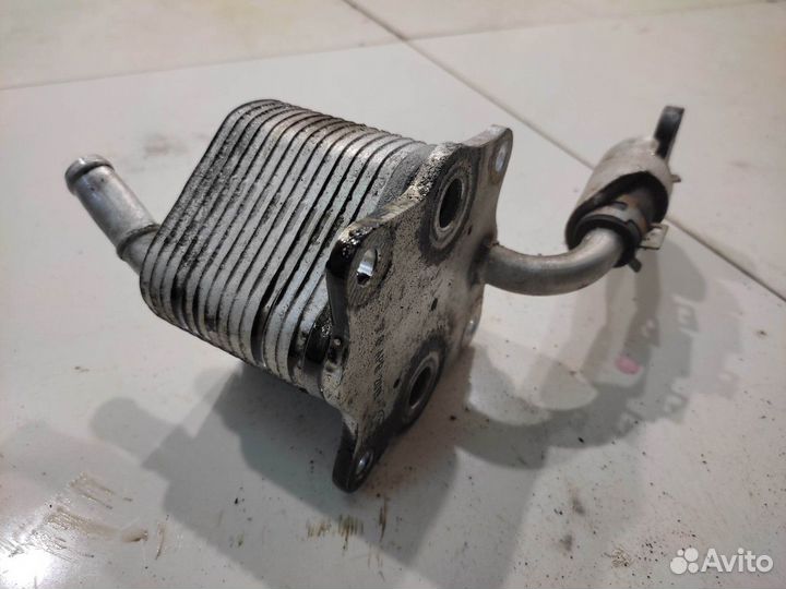 Радиатор масляный (Toyota Hilux viii)