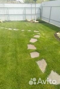 Рулонный газонУкладка Рулонного газонаГазон от про