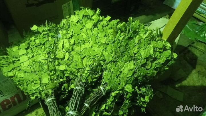 Веники баные березовые