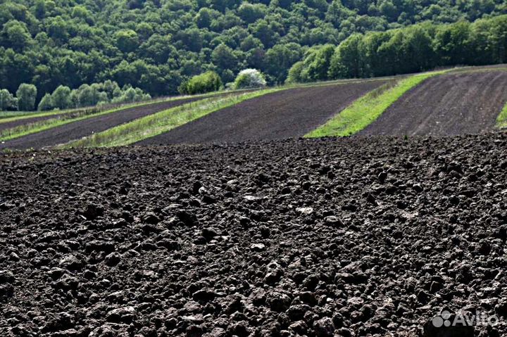 Чернозем торф торфосмесь