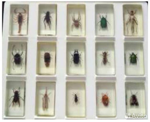 Коллекция: Журнал 