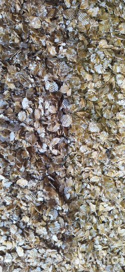 Продам ячмень, дробленый, хлопья ячменные