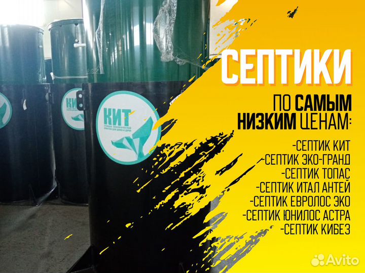 Септики кит