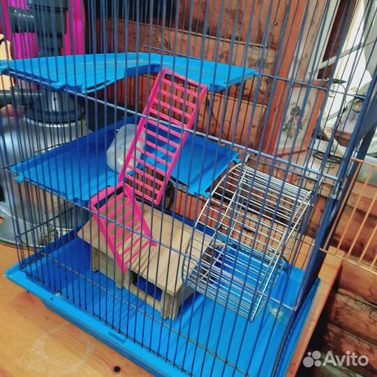 Клетка для сирийского хомячка