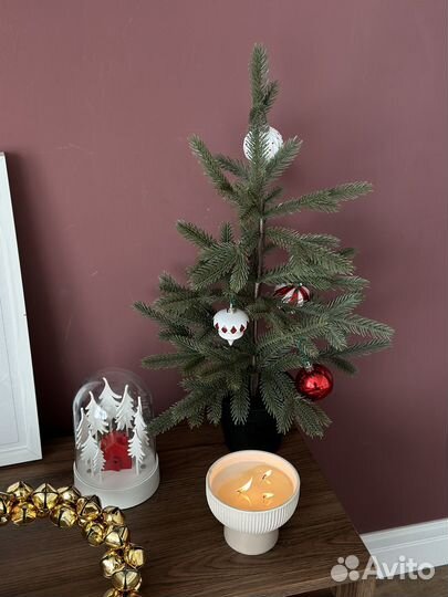 Растение в горшке IKEA vinter 55 см