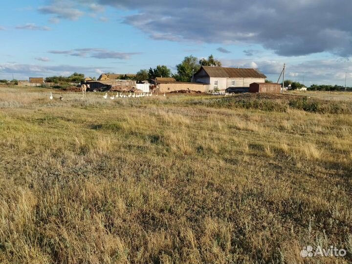 Доильный аппарат Доюшка