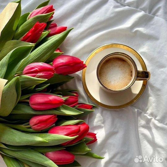 Цветы, розы, тюльпаны, композиции, букеты