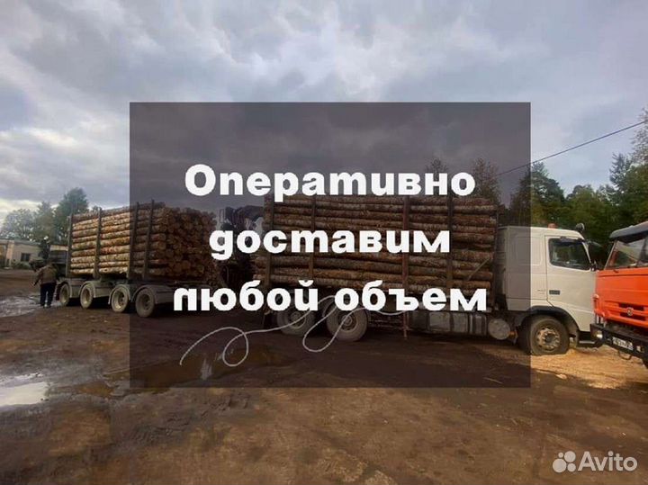 Дрова на дачу