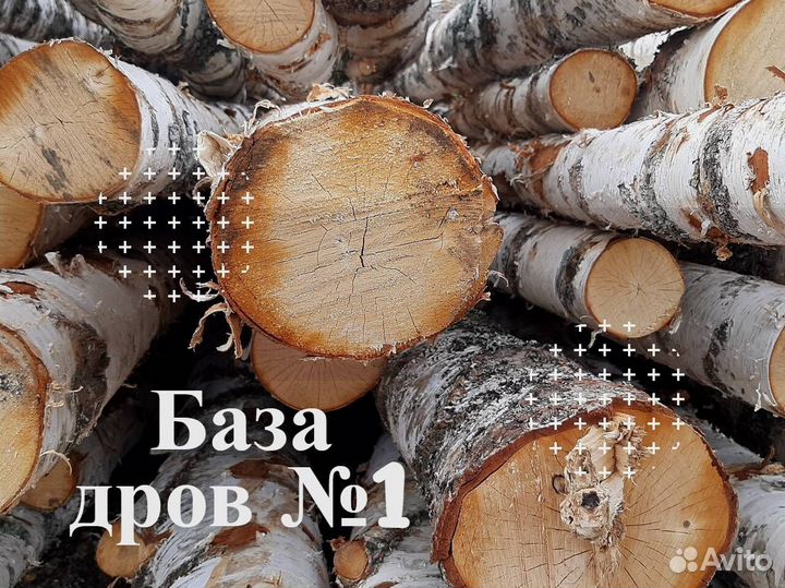 Дрова осина