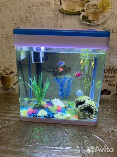 Аквариум