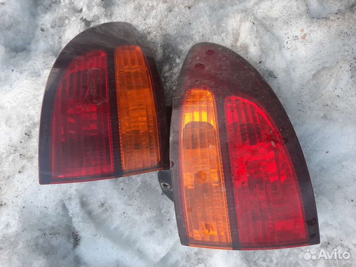 Стопы задние