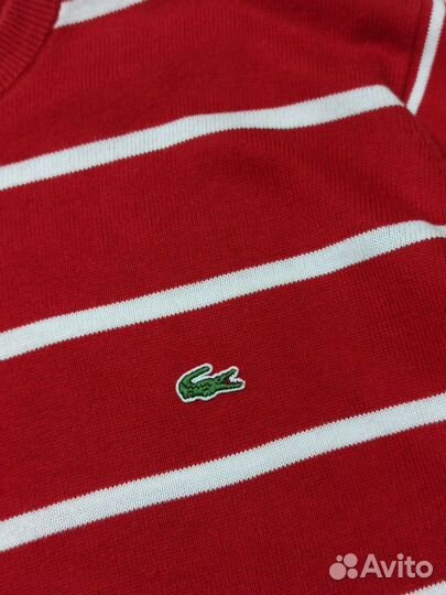 Джемпер Lacoste