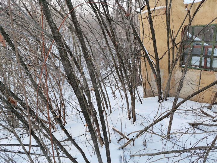Участок 7,5 сот. (СНТ, ДНП)