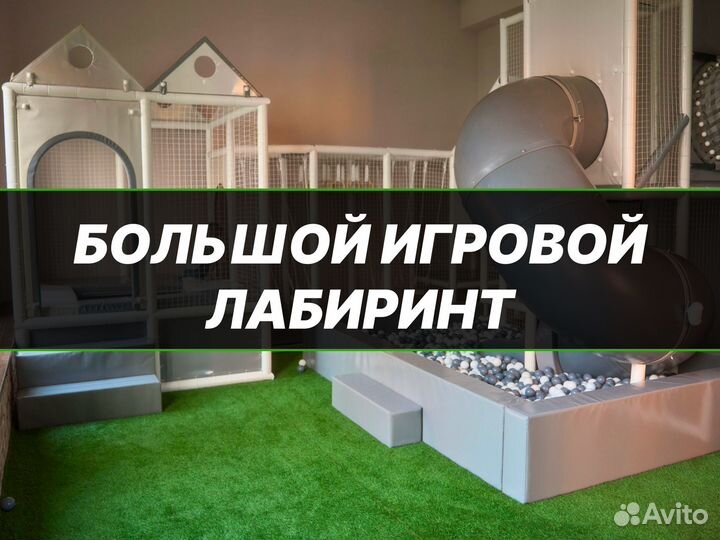 Аренда лофта под мероприятия