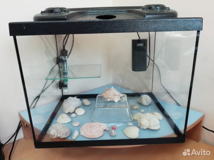 Аквариум для черепах