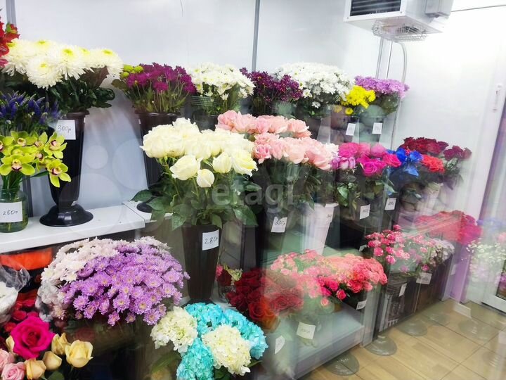 Продам помещение свободного назначения, 84.5 м²