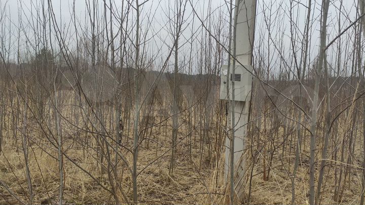 Участок 22,9 сот. (ИЖС)