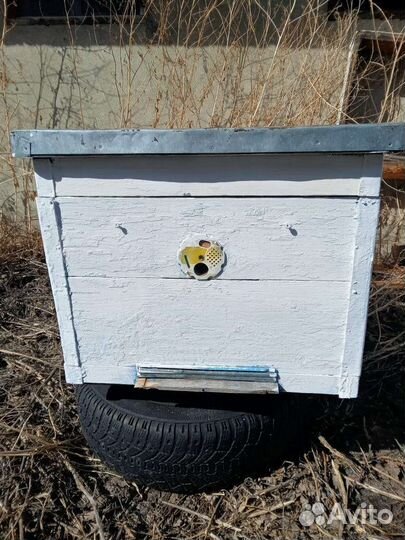 Ульи дадан 12 рамочный