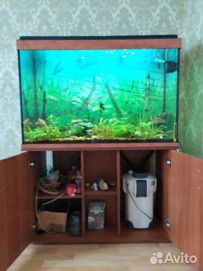 Аквариум 350л