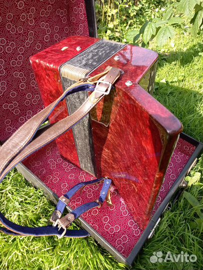 Баян россия