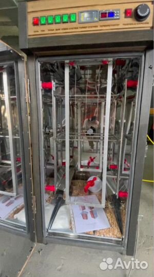 Коптильня холодного и горячего копчения