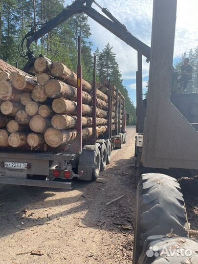 Пиловочник Лес кругляк Доставка