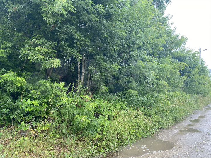 Участок 11 сот. (ИЖС)