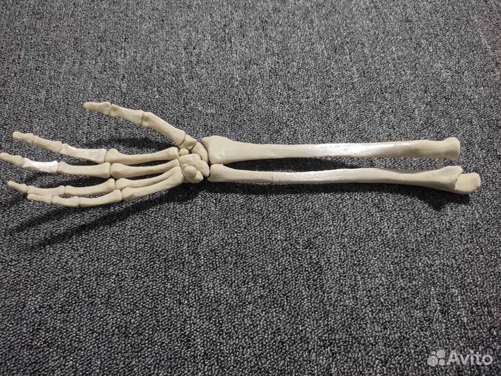 Скелет руки человека Зd печать