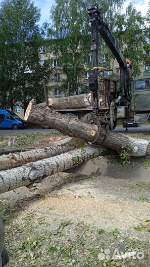 Спил деревьев, расчистка, корчевка, удаление веток