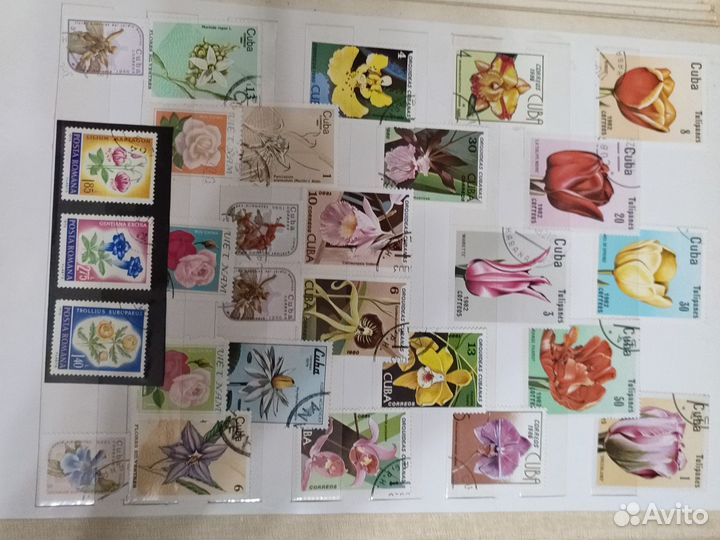 Марки цветы, растения Альбом с марками