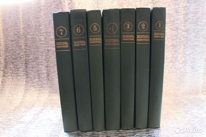 Энциклопедия 