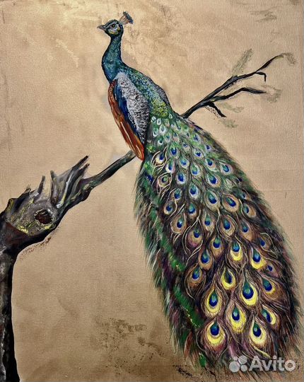 Павлин. Интерьерная картина