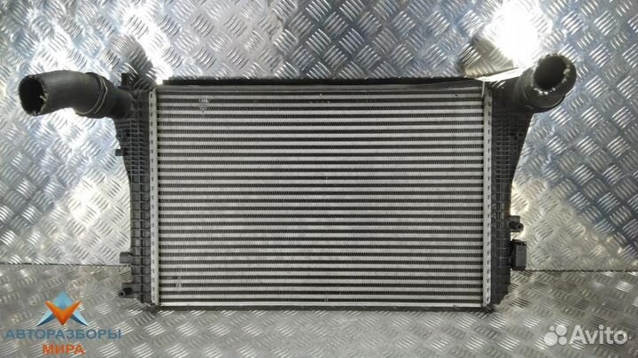 Интеркулер Volkswagen Golf 6 2008 1K0145803T