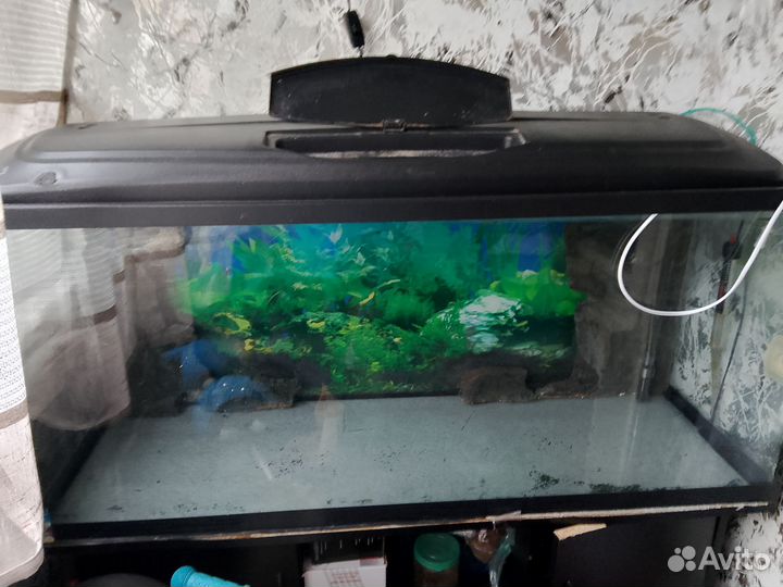 Аквариум с тумбой 240 литров