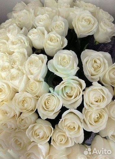 Высокие розы Букеты с доставкой