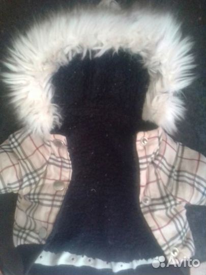 Модная всесезонная куртка для собак породы мини