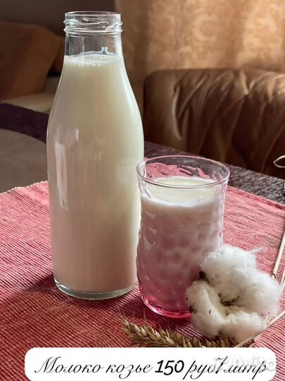 Козье молоко, сыр