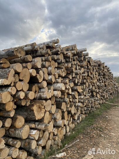 Берёза кругляк на дрова